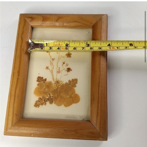 Pressed Flower Framed Wall Art 1998 Artist
Signed Floral Decor - Picture 10 of 12